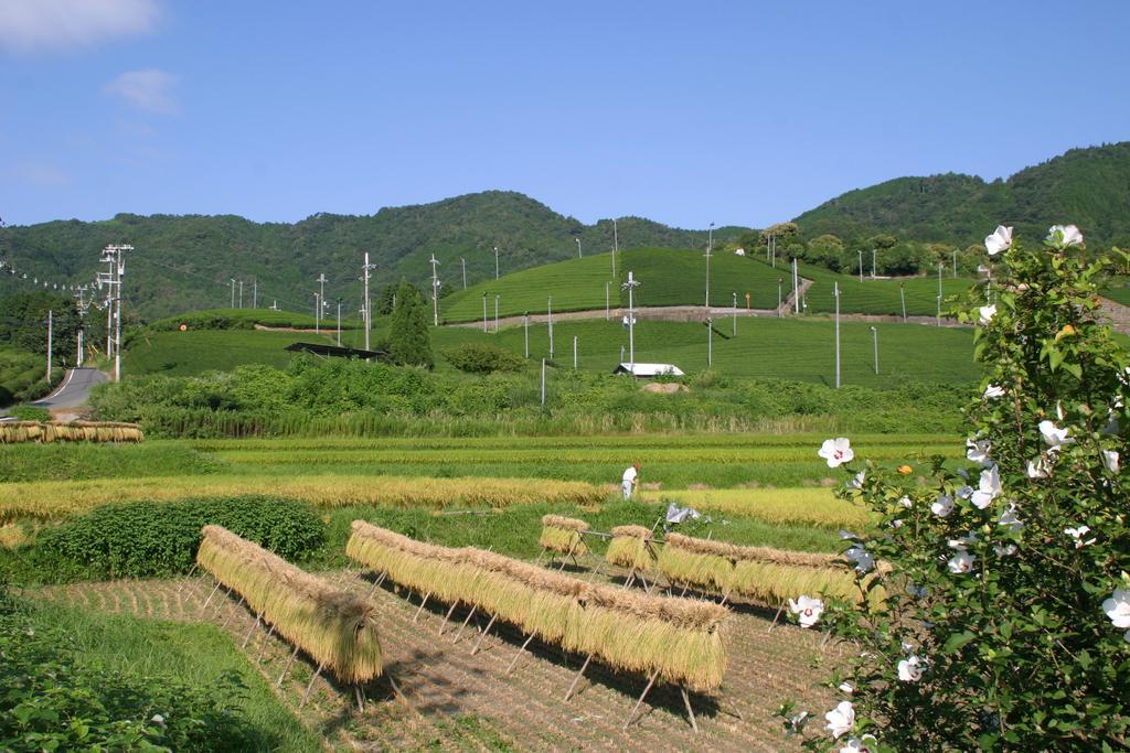Kyoto Wazukaso Hotel Kizugawa ภายนอก รูปภาพ