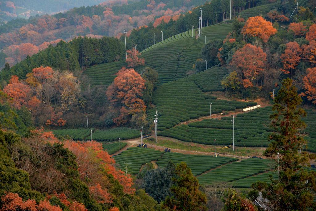 Kyoto Wazukaso Hotel Kizugawa ภายนอก รูปภาพ