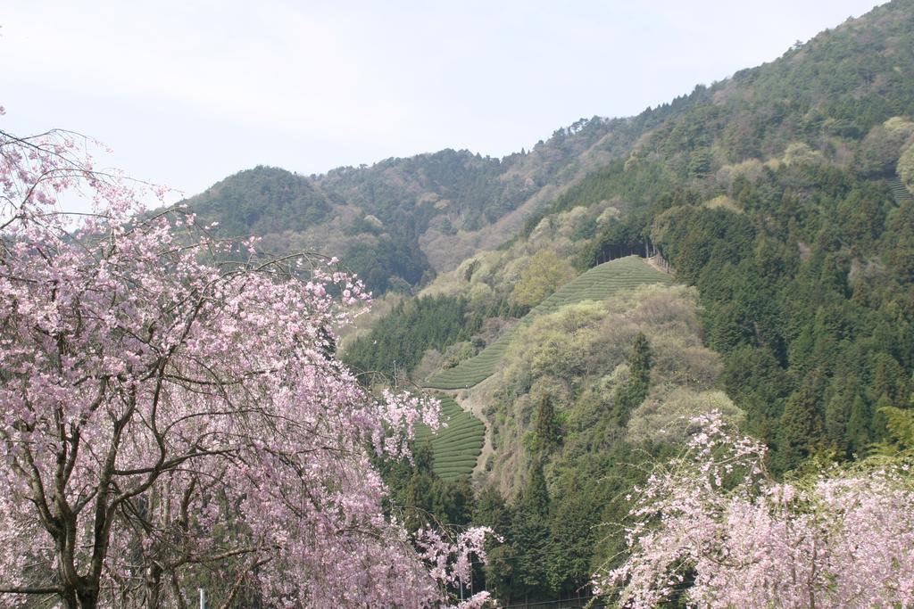 Kyoto Wazukaso Hotel Kizugawa ภายนอก รูปภาพ